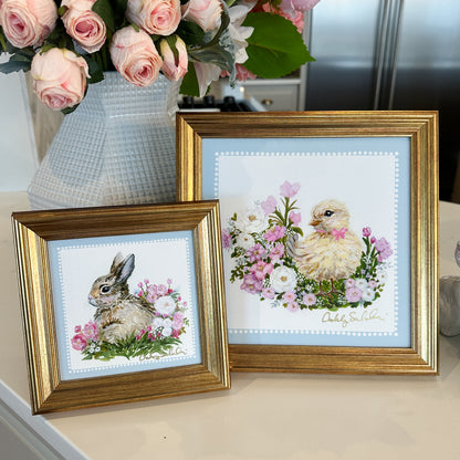 “Little Chick” Framed Canvas Print