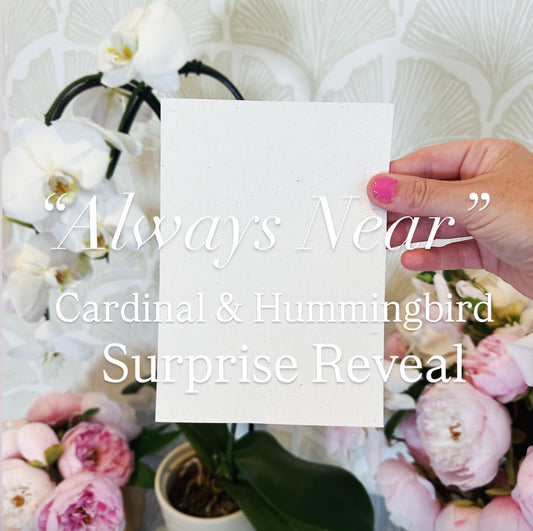 “Always Near” – Cardinal & Hummingbird Surprise Reveal (New)
