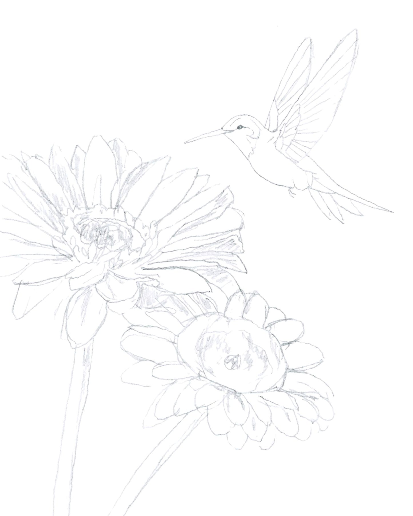 "Flutter" Hummingbird Paint Along Kit