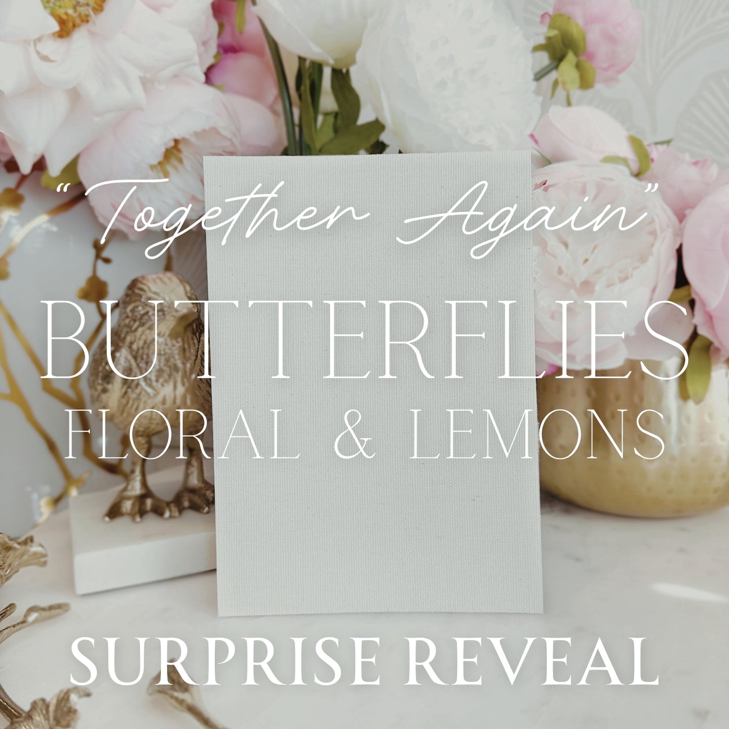 “Together Again” Butterfly *Surprise Reveal*
